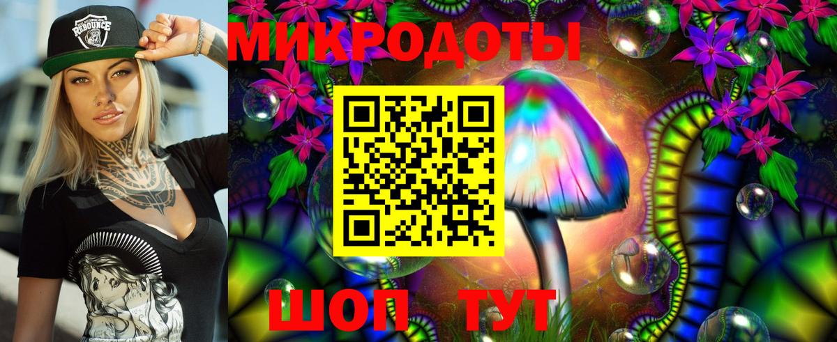 Псилоцибиновые грибы мицелий Краснознаменск
